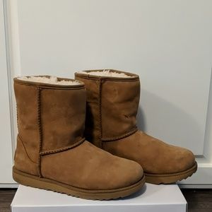 Classic II short waterproof Uggs